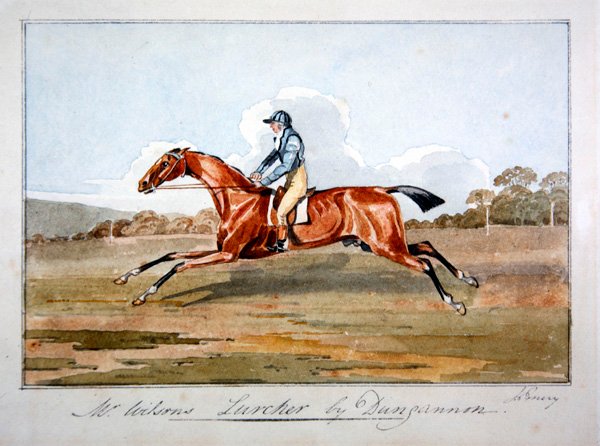 Mr. Wilson „Lurcher”, Dungannon alkotó: John Emery