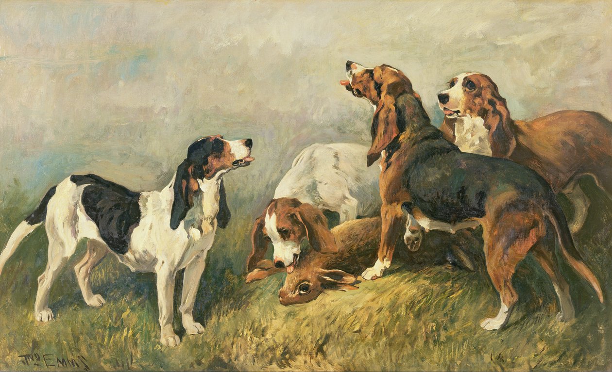Kutyák egy nyúllal alkotó: John Emms
