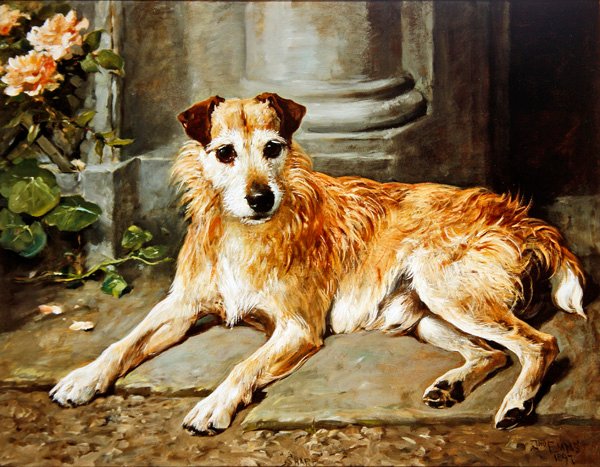 Éles alkotó: John Emms