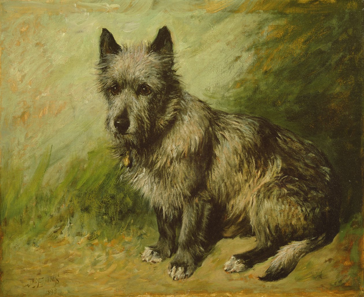 Foszlány alkotó: John Emms