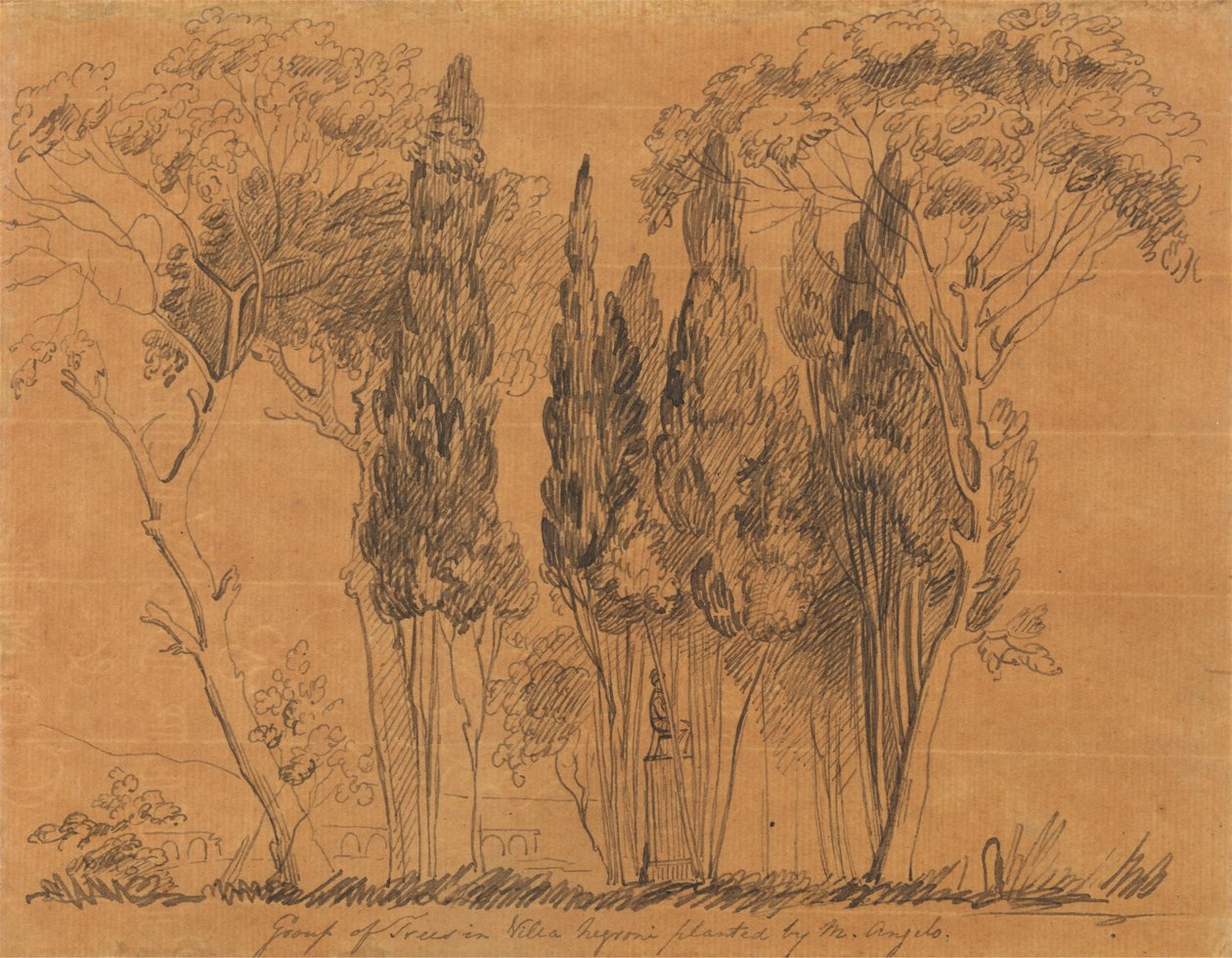 Fák a Villa Negroniban M. Angelo ültette alkotó: John Flaxman