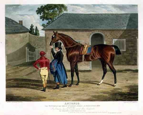 "Antonio", a Doncaster-i Nagy St. Leger győztese alkotó: John Frederick Herring Snr