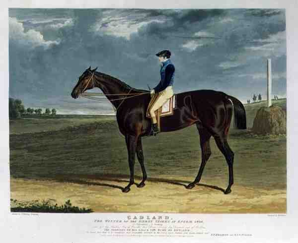 „Cadland”, a Derby Stakes győztese Epsomban alkotó: John Frederick Herring Snr