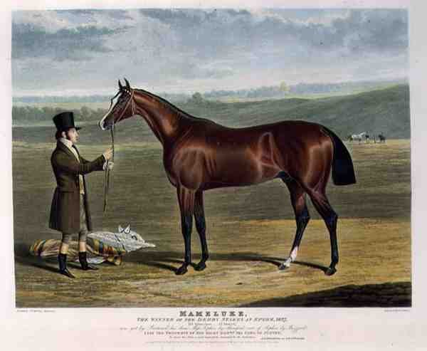 „Mameluke”, a Derby Stakes győztese Epsomban alkotó: John Frederick Herring Snr