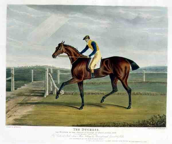 „A hercegnő”, a Doncaster-i Nagy St. Leger győztese alkotó: John Frederick Herring Snr