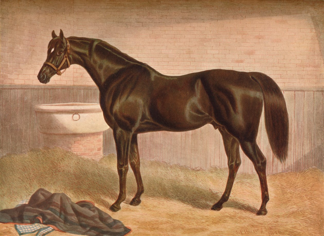 Gladiátor, 19. század, 1903 alkotó: John Frederick Herring I