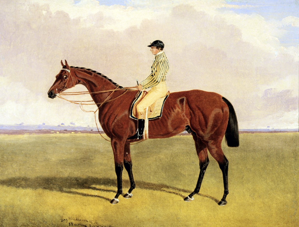 "Bay Middleton" Robinsonnal alkotó: John Frederick Herring Jnr