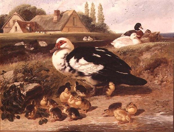 Kacsák és kiskacsák alkotó: John Frederick Herring Jnr