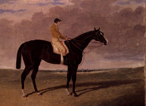 Trumpok királynője, egy öbölbeli versenyló zsokéval alkotó: John Frederick Herring Jnr