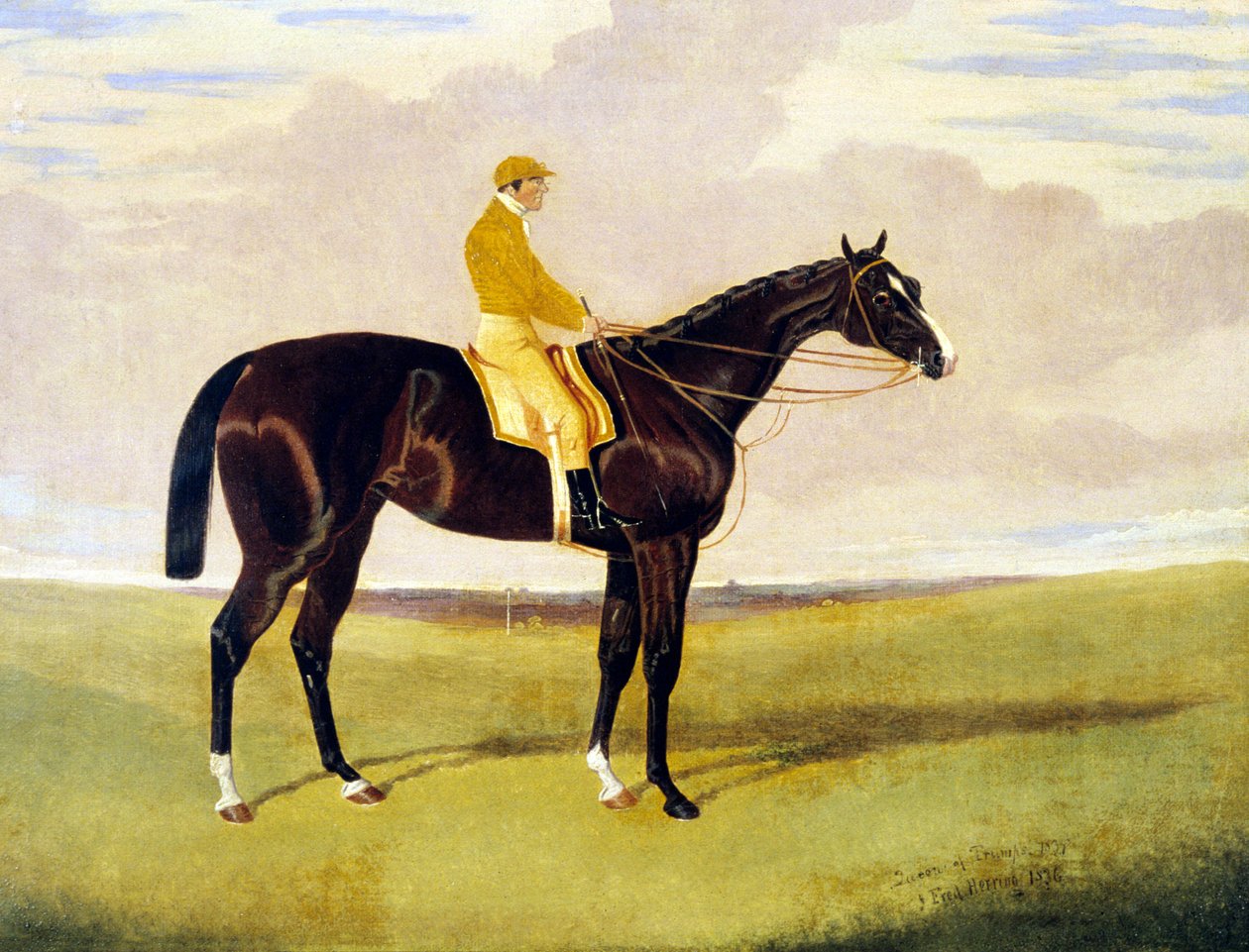 "Queen of Trumps" Lye-vel alkotó: John Frederick Herring Jnr