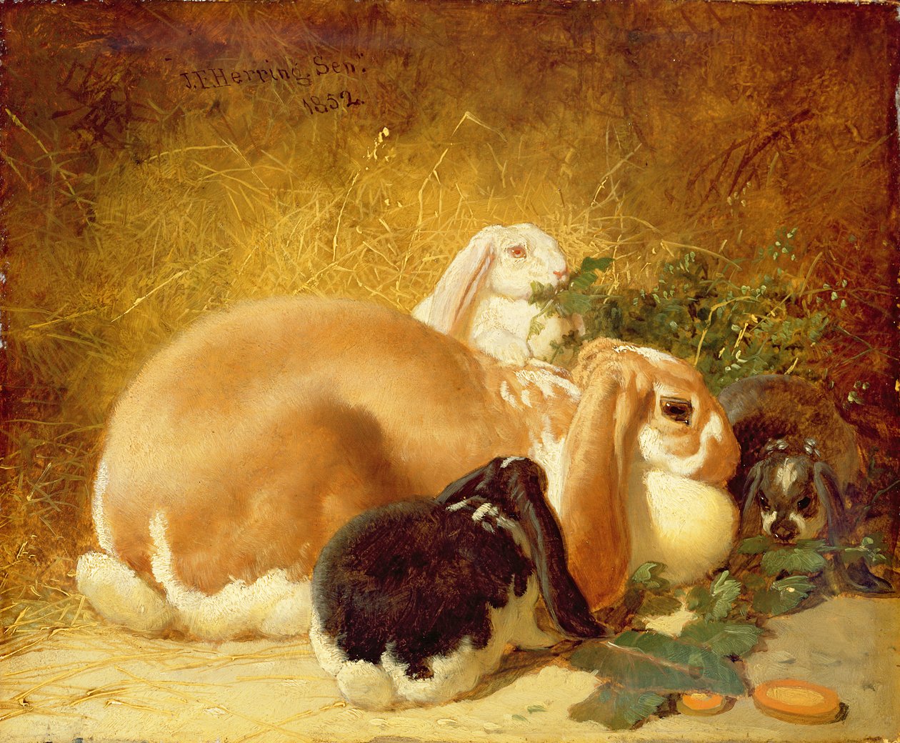 Nyulak, 1852 alkotó: John Frederick Herring Junior