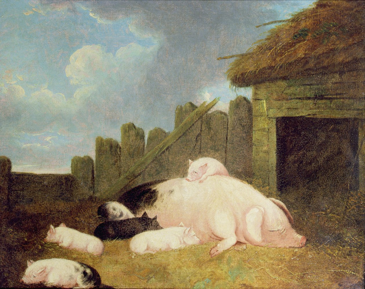 Kocák malacokkal az ólban alkotó: John Frederick Herring Junior