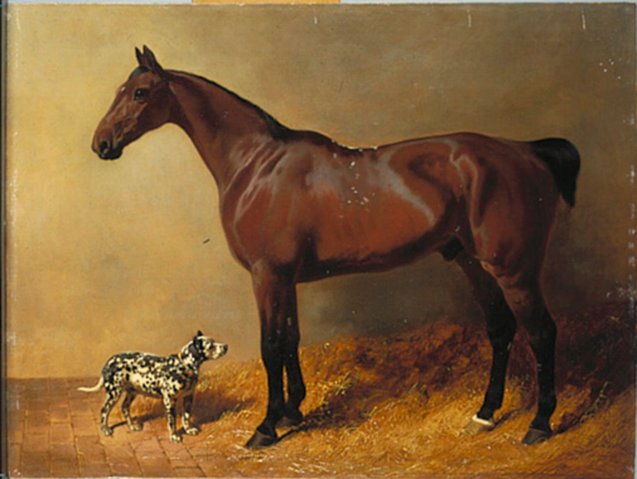 Egy öbölvadász és egy pöttyös kutya istállóban, 1846 alkotó: John Frederick Herring Senior