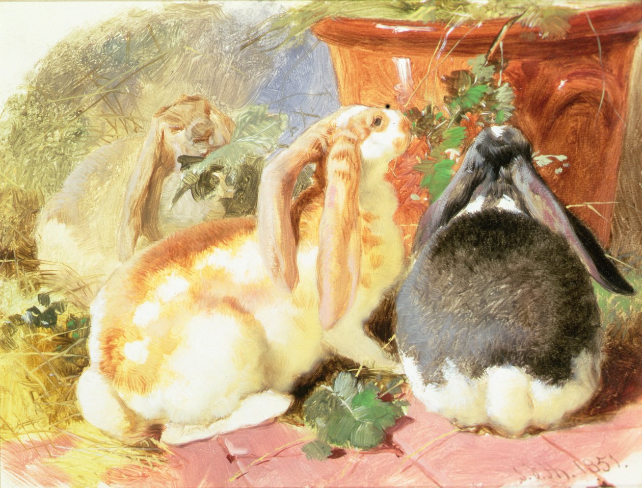 Tanulmány három fülű nyúlról alkotó: John Frederick Herring Senior