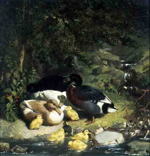 Kacsák és kiskacsák alkotó: John Frederick Herring Senior