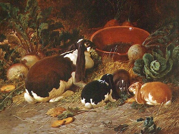 Fancy Rabbits, egy őzike a fiataljával alkotó: John Frederick Herring Senior