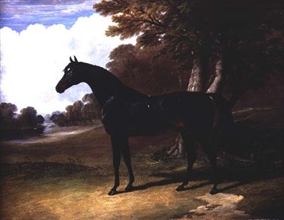 Gaucus, egy sötét öböl ló erdős tájon (olaj, vászon) alkotó: John Frederick Herring Senior