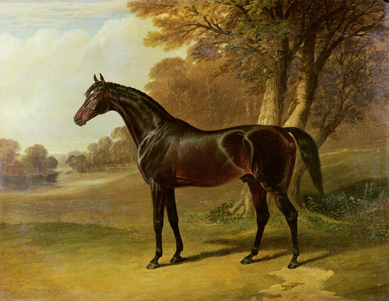 "Glaukus" alkotó: John Frederick Herring Senior