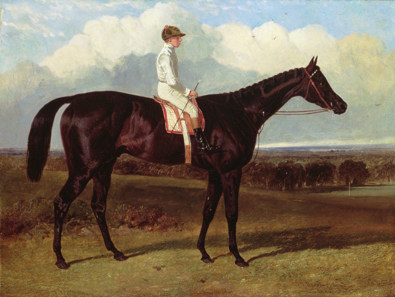 Jonathan Wild, a Dark Bay versenyló, Goodwoodban, T. Ryder up, 1846 alkotó: John Frederick Herring Senior
