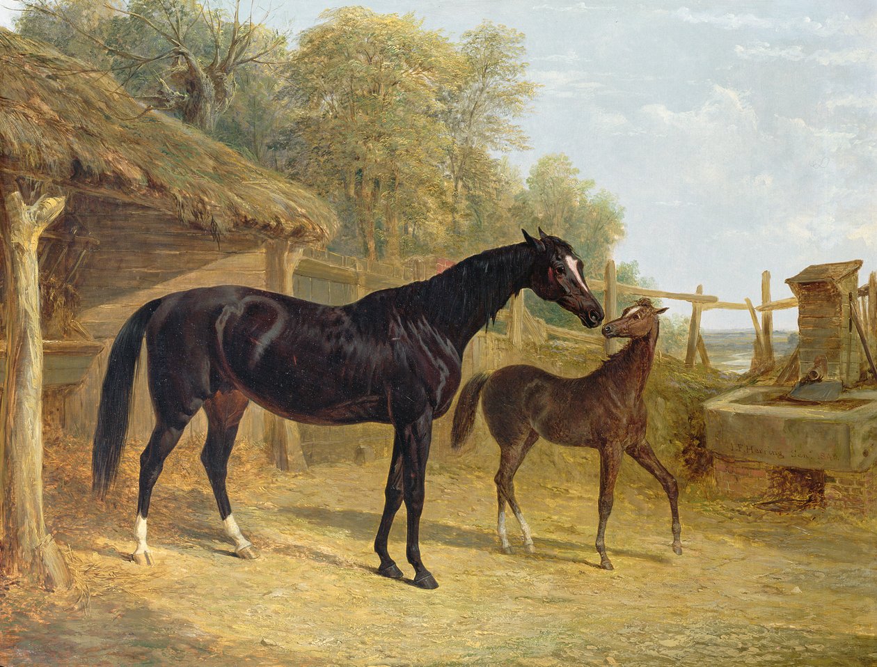 Levity, J.C.Cockerill Esq. tulajdona, csikójával Queen Elizabeth, Lord Dorchester tulajdona, 1843. alkotó: John Frederick Herring Senior
