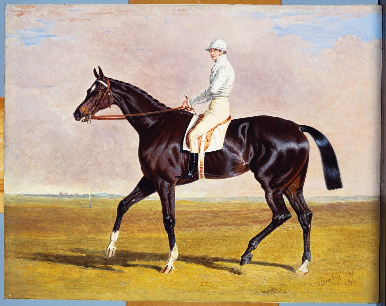 Lucetta" J. Robinson Up közreműködésével, 1834 alkotó: John Frederick Herring Senior