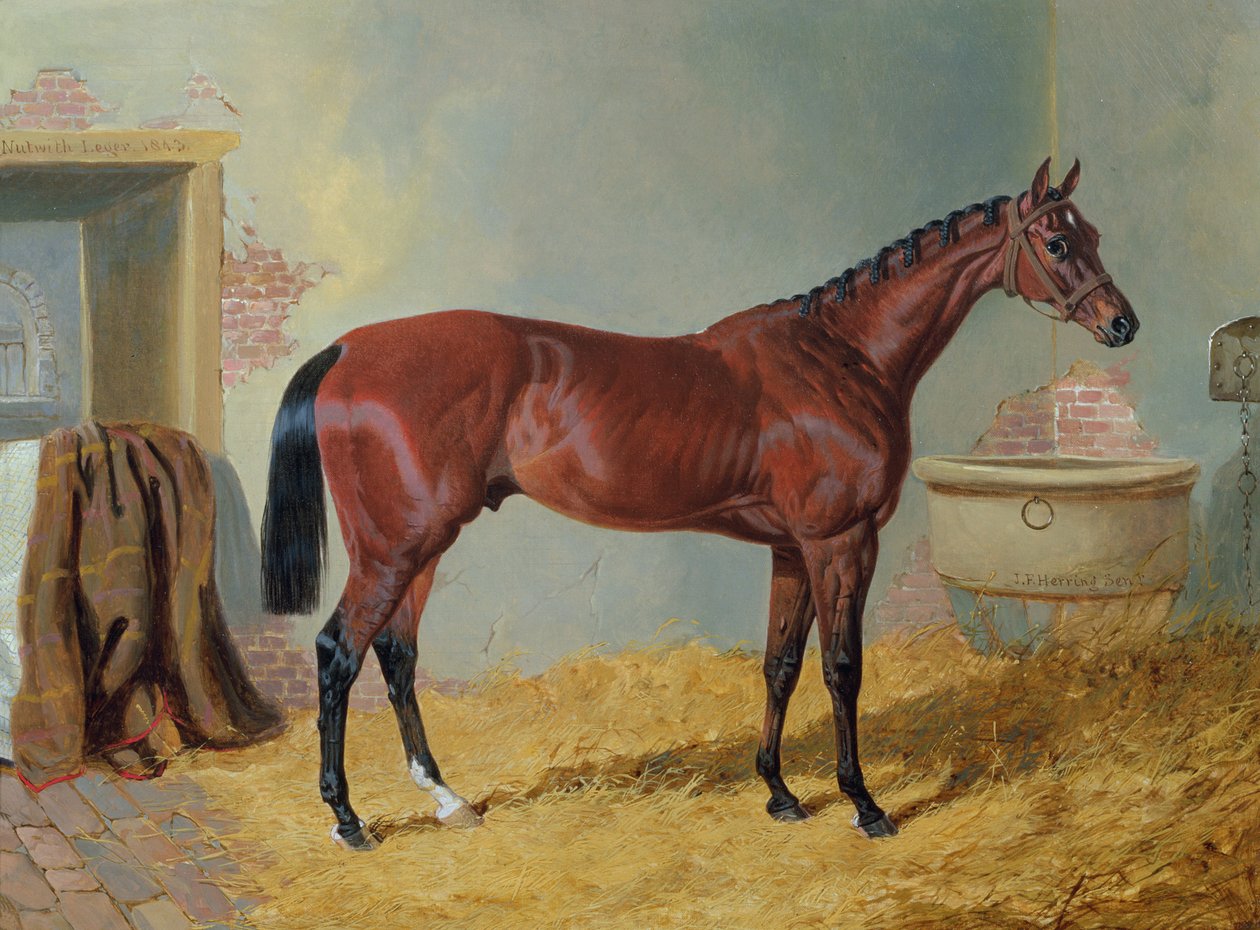 Mr. S. Wrather „Nutwith”-je egy istállóban alkotó: John Frederick Herring Senior