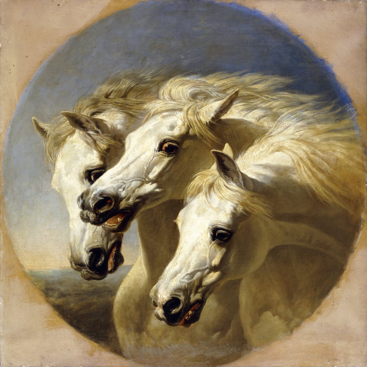 Fáraó lovai, 1848 alkotó: John Frederick Herring Senior