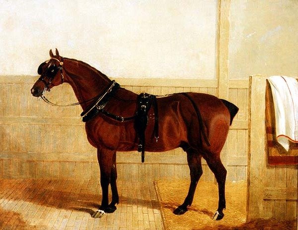 Díj Shire Horse a hámban alkotó: John Frederick Herring Senior