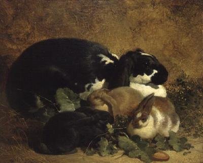 Nyulak alkotó: John Frederick Herring Senior