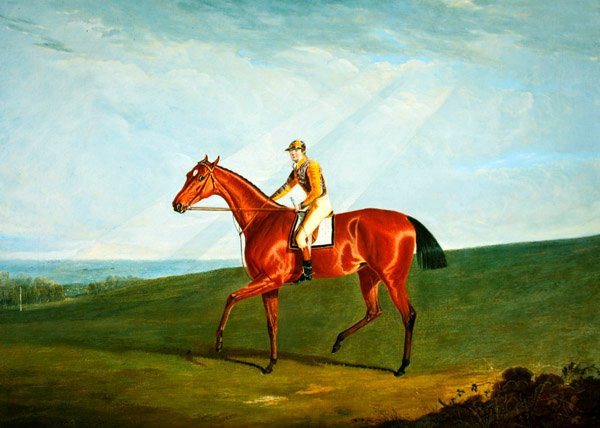 Ringlet J. Jackson Uppal, 1823 körül (olaj, vászon) alkotó: John Frederick Herring Senior