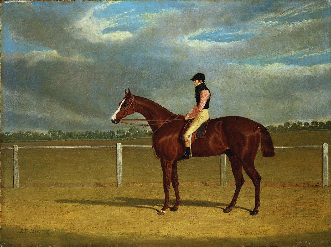 The Racehorse "The Colonel" William Scott Up alkotó: John Frederick Herring Senior