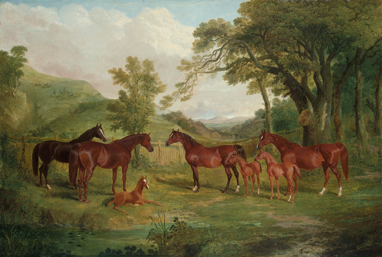 A Streatlam-ménes, kancák és csikók, 1836 alkotó: John Frederick Herring Senior