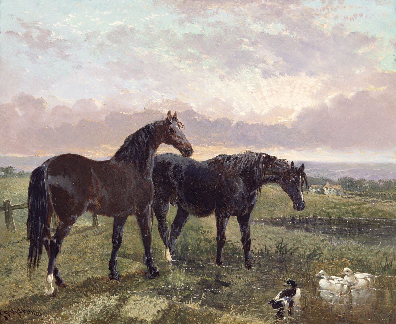 Két ló legelész naplementekor alkotó: John Frederick Herring Senior