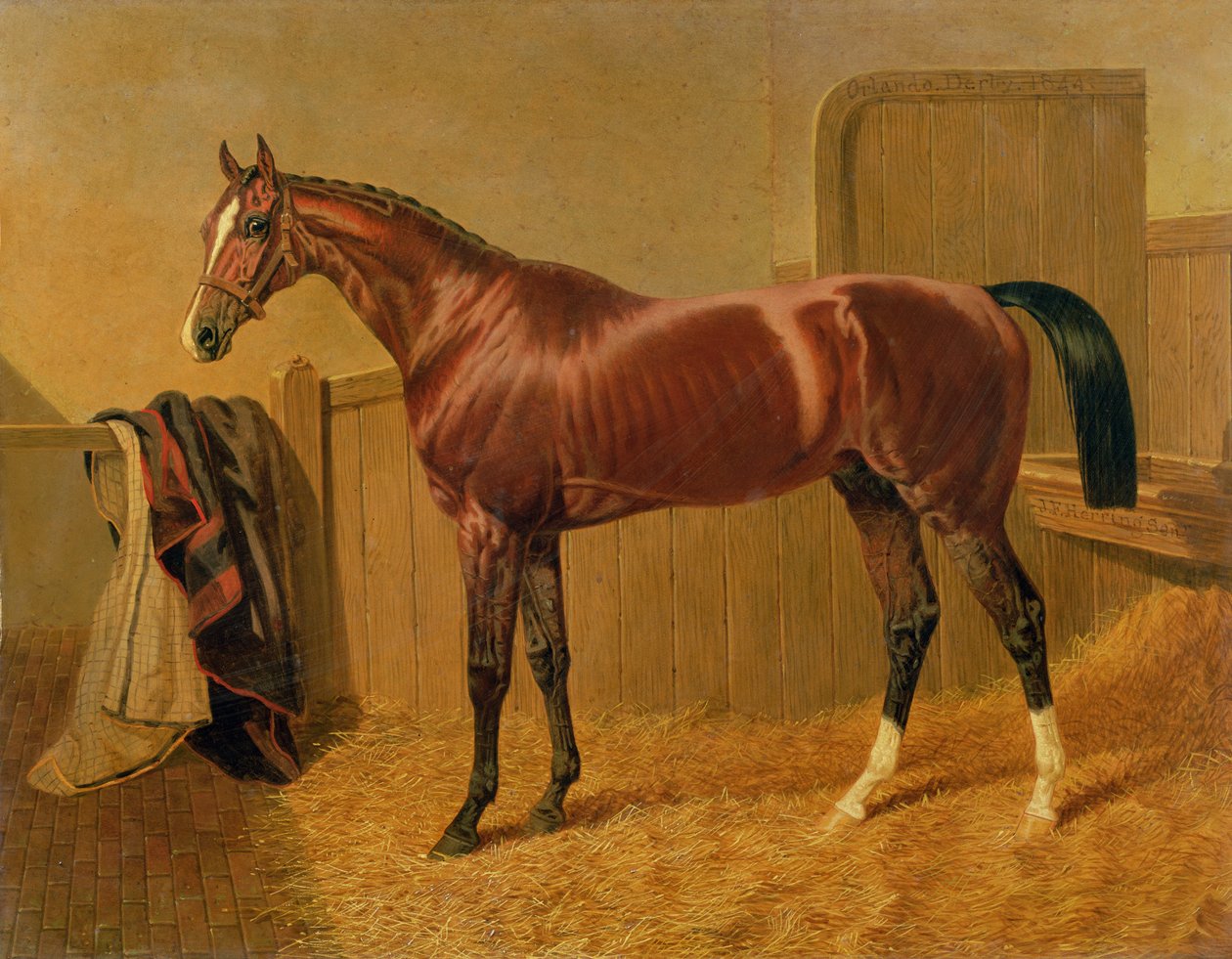 Ismeretlen kép alkotó: John Frederick Herring Senior