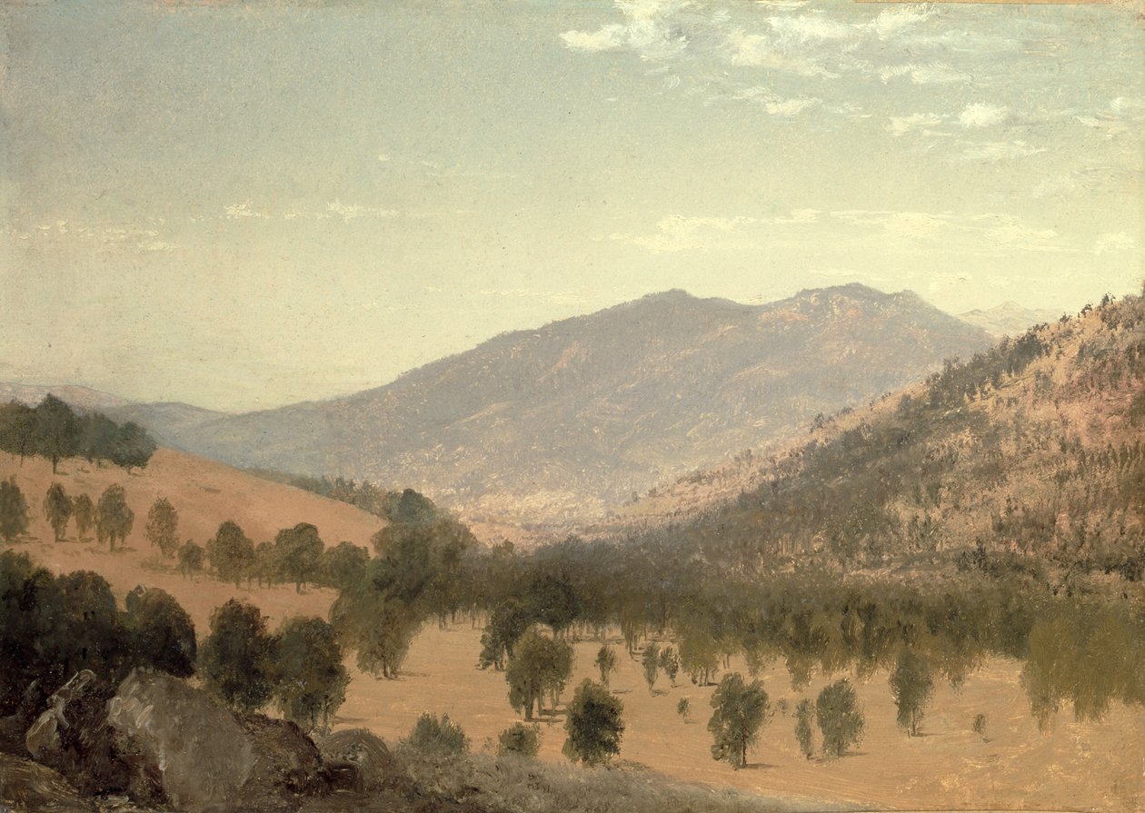 Bergen Park, Colorado (olaj, vászon) alkotó: John Frederick Kensett