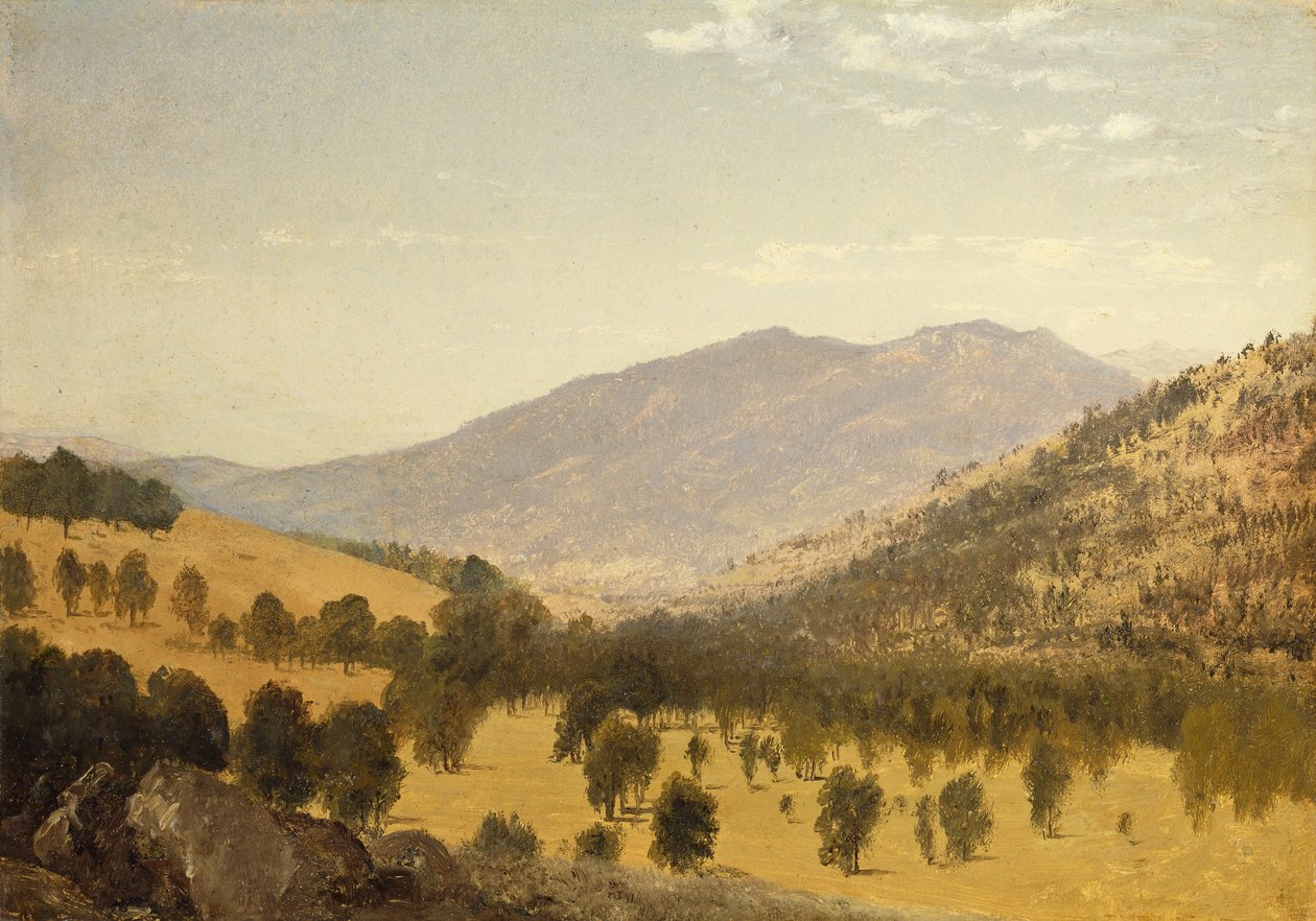 Bergen Park, Colorado, alkotó: John Frederick Kensett