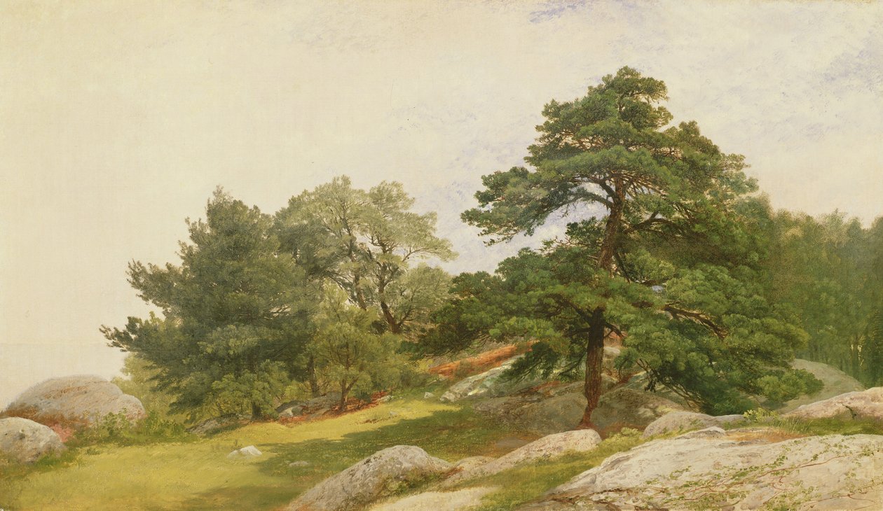 Tanulmány a Beverly Coast fáihoz alkotó: John Frederick Kensett
