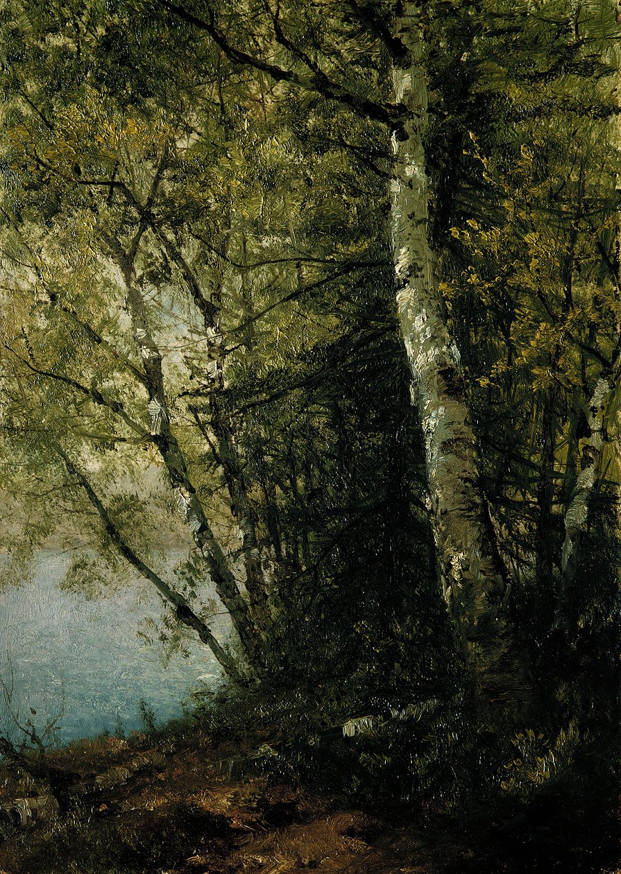 Tanulmány a bükkösökről, 1872. alkotó: John Frederick Kensett