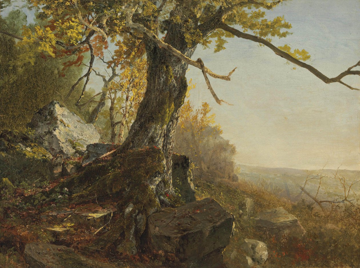 Fa a tájban alkotó: John Frederick Kensett