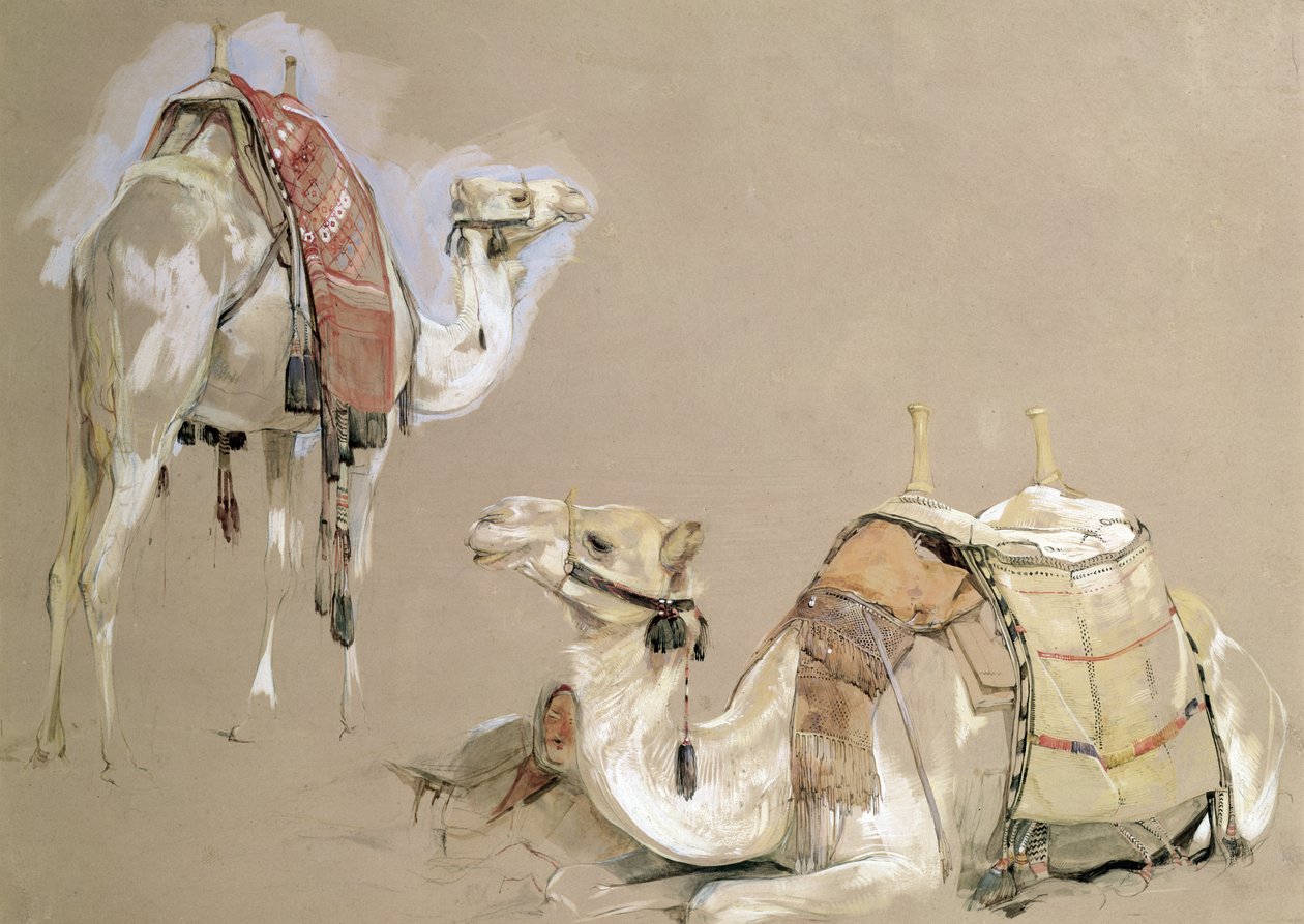 Tevetanulmányok alkotó: John Frederick Lewis