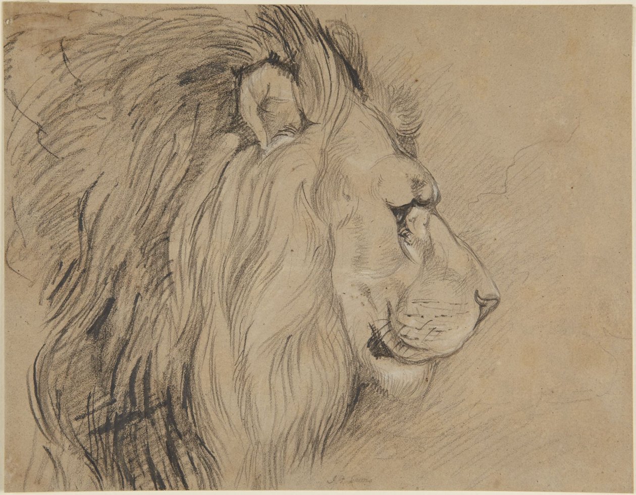 Oroszlán alkotó: John Frederick Lewis
