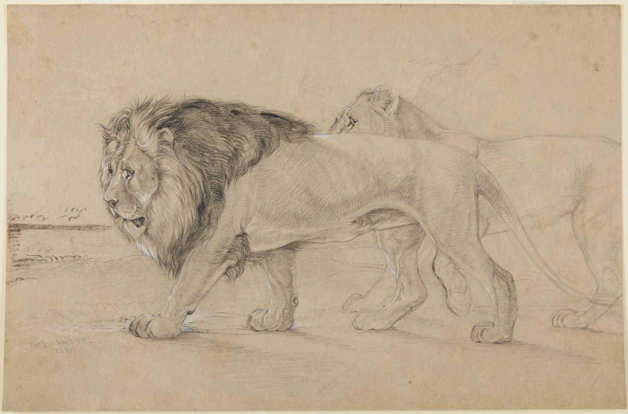 Lions alkotó: John Frederick Lewis