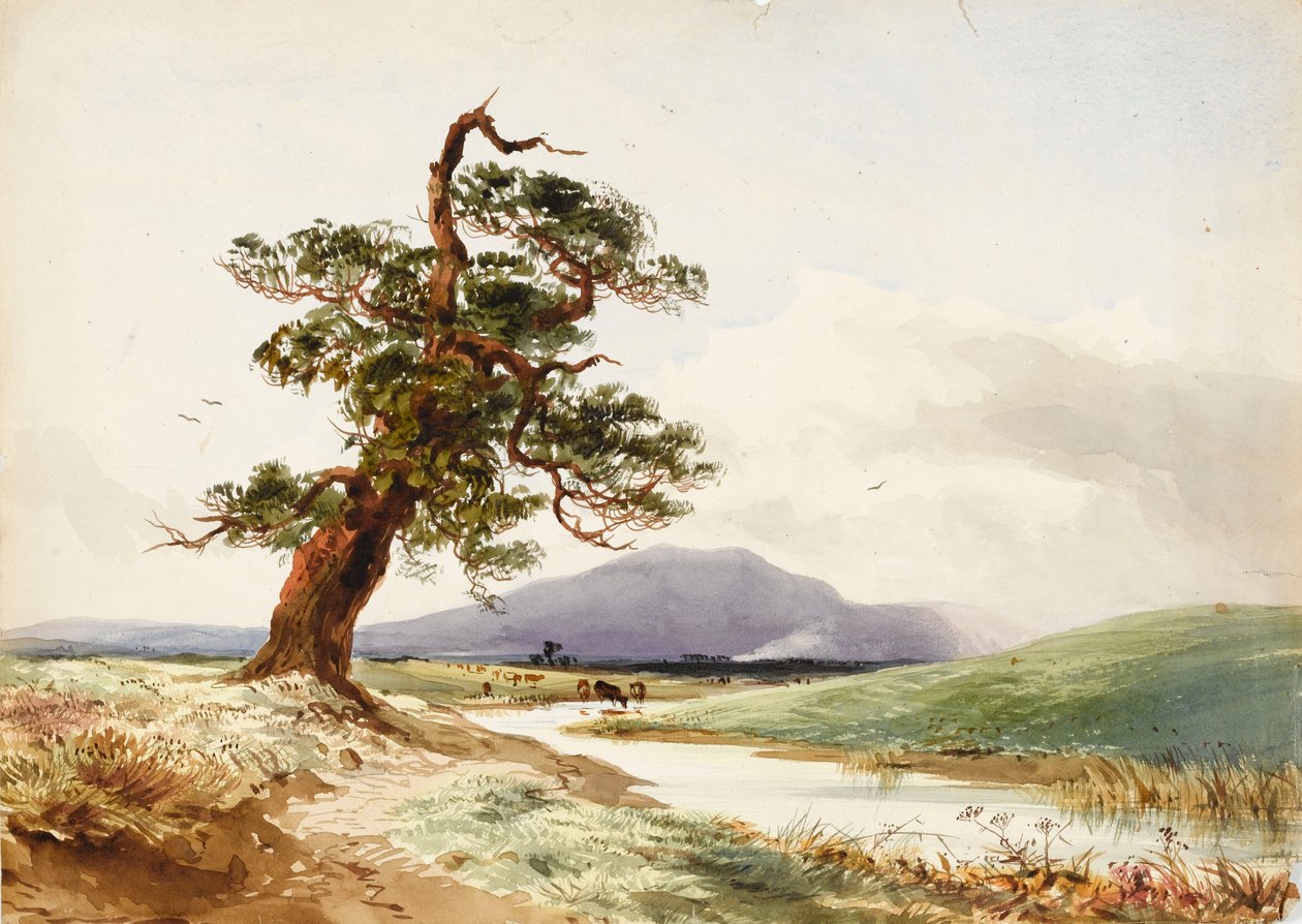 Nézet egy folyó melletti fára, szarvasmarha ivó és lila domb mögött alkotó: John Frederick William Herschel