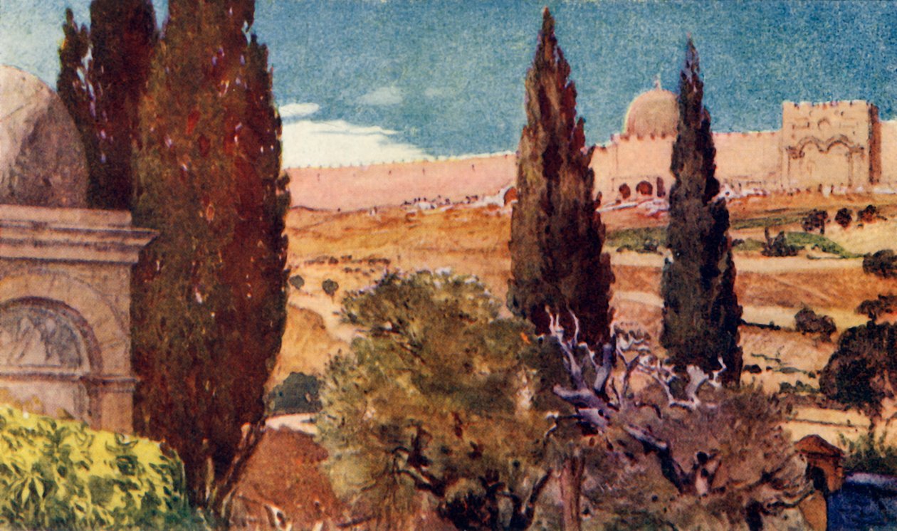 A Gecsemáné kert ciprusai, 1902. alkotó: John Fulleylove