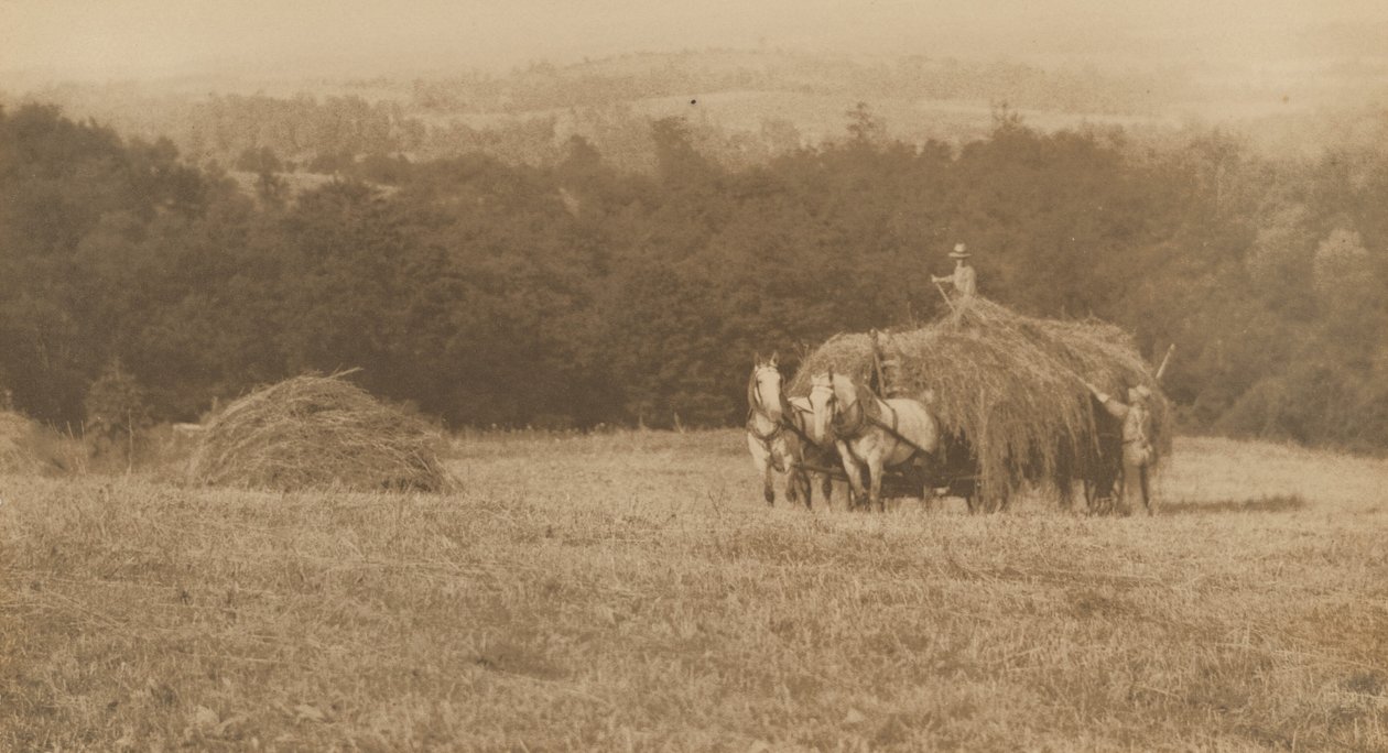 Széna rakodása,1890-1900 (fénykép) alkotó: John G. Bullock