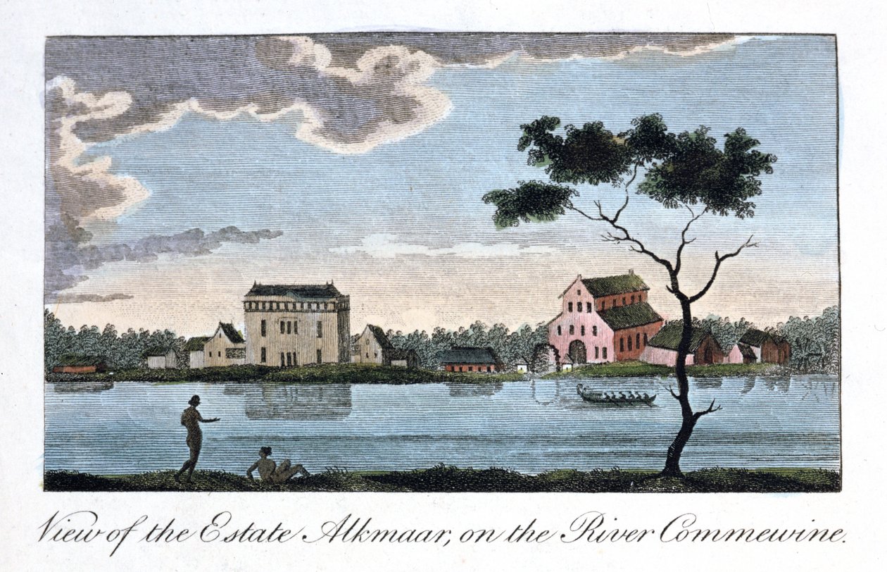 Kilátás az Alkmaar birtokra, a Commewine folyón, 1813 alkotó: John Gabriel Stedman