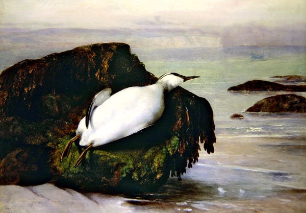Shanklin alkotó: John George Naish