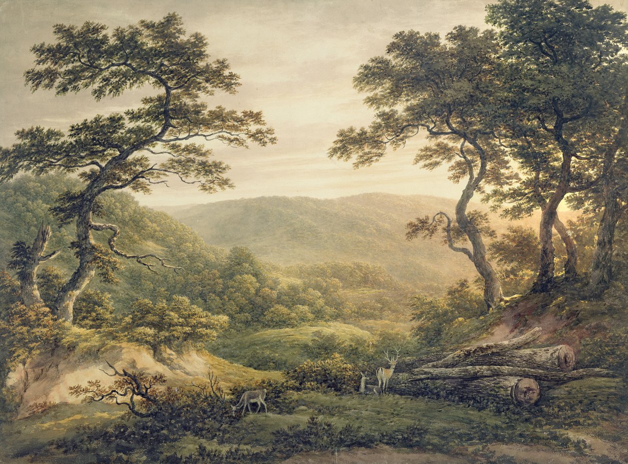 Needlewood Forest, Hampshire (akvarell papíron) alkotó: John Glover