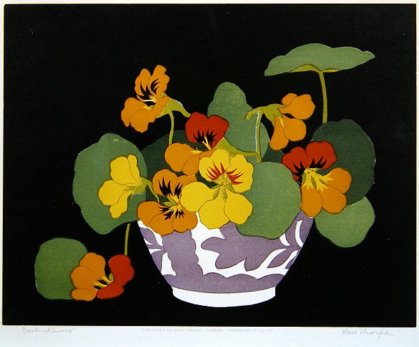 Nasturtium (fametszet) alkotó: John Hall Thorpe