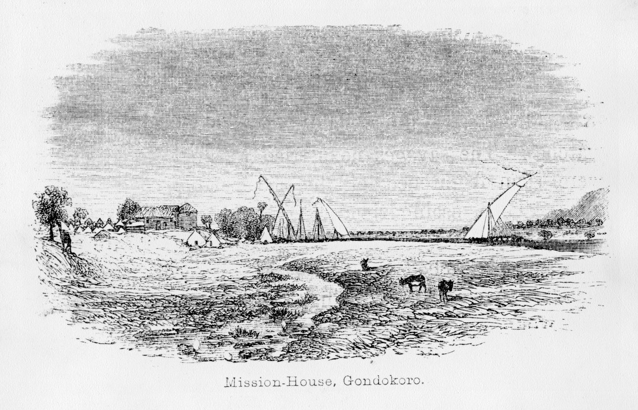 Misson-House, Gondokoro, a "Napló a Nílus forrásának felfedezéséről" című könyvből, 1864. alkotó: John Hanning Speke